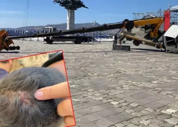 Görüntü almak isteyen gazetecileri darbetti