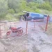 Orman yangını çıkaran 5 defineci tutuklandı