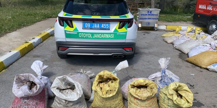 1 ton 800 kilogram salyangozla yakalanan şüpheliye 37 bin TL ceza