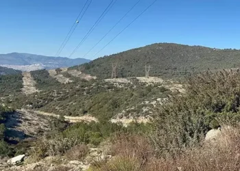 Avda kazara 12 yaşındaki oğlunu öldürdü