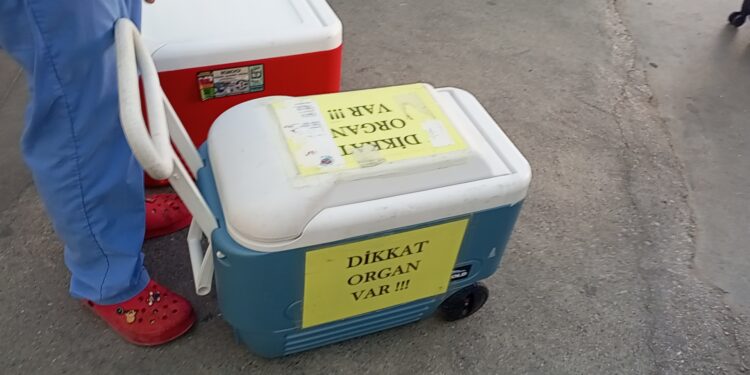 13 gün sonra ölen genç kızın organları bağışlandı