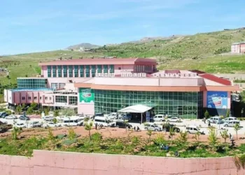 14 yaşındaki çocuk babasını silahla öldürdü