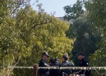 Nazillili genç zeytinlikte hayatına son verdi