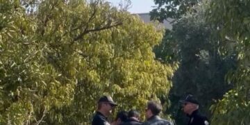 Nazillili genç zeytinlikte hayatına son verdi