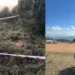 2 gündür kayıp olan Mustafa ormanda ölü bulundu