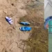 2 kuzenin cansız bedeni gölde bulundu