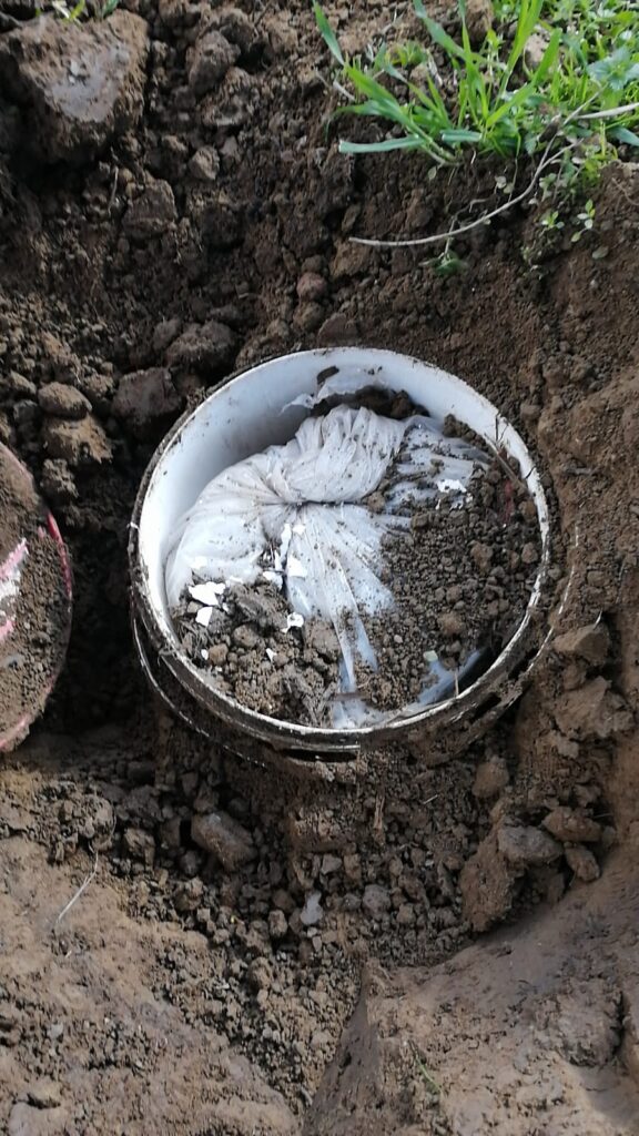 Zeytin ağacı dibine gömülen uyuşturucuyu narkotik köpeği Dilbaz buldu