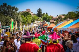 Didim VegFes Online yapılacak