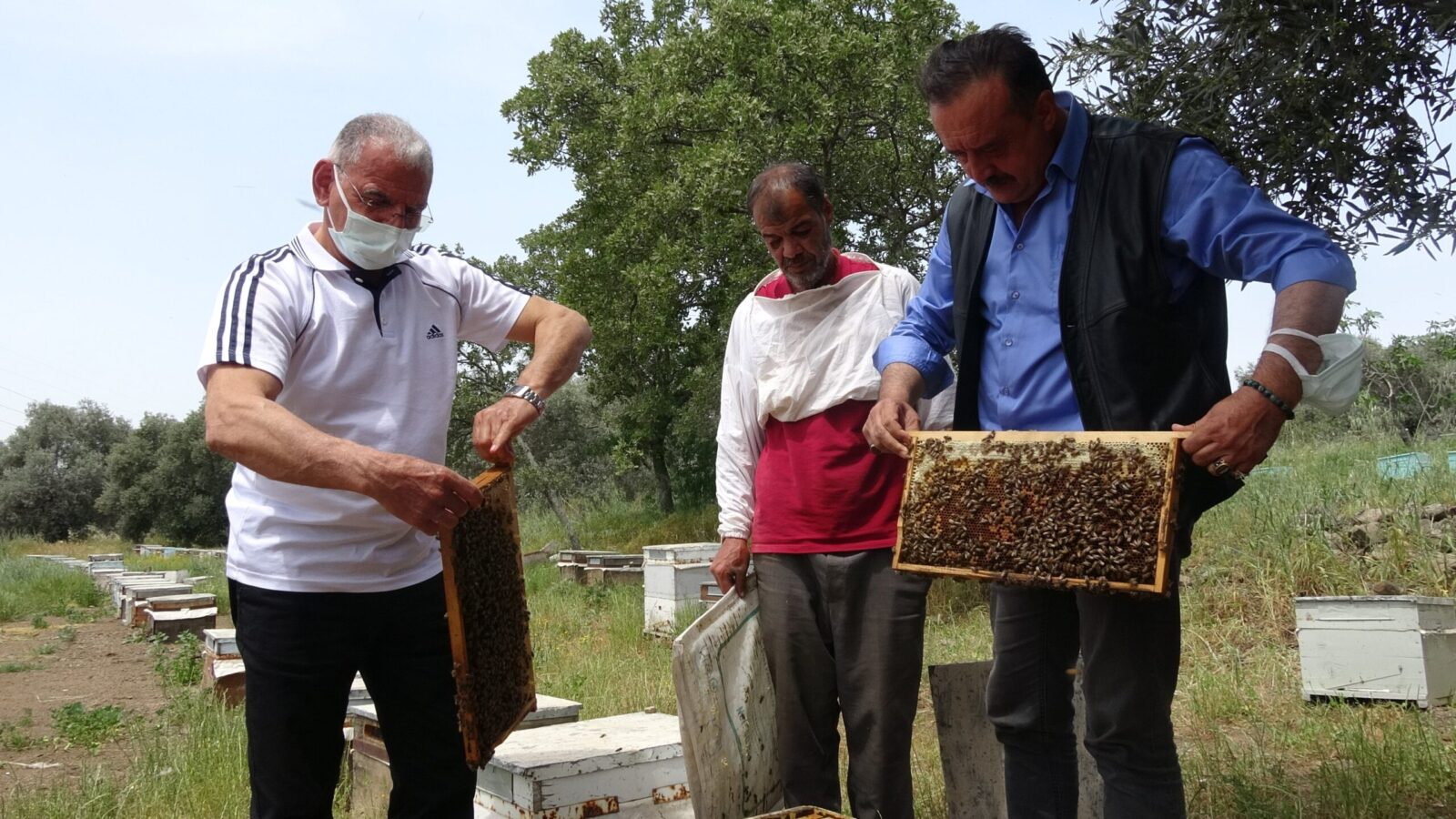 Arılı kovanların plakalama işi Tarım ve Orman Müdürlüklerine geçti