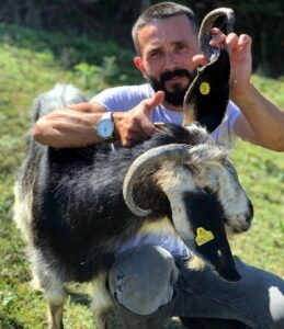 3 boynuzlu keçi görenleri şaşırtıyor