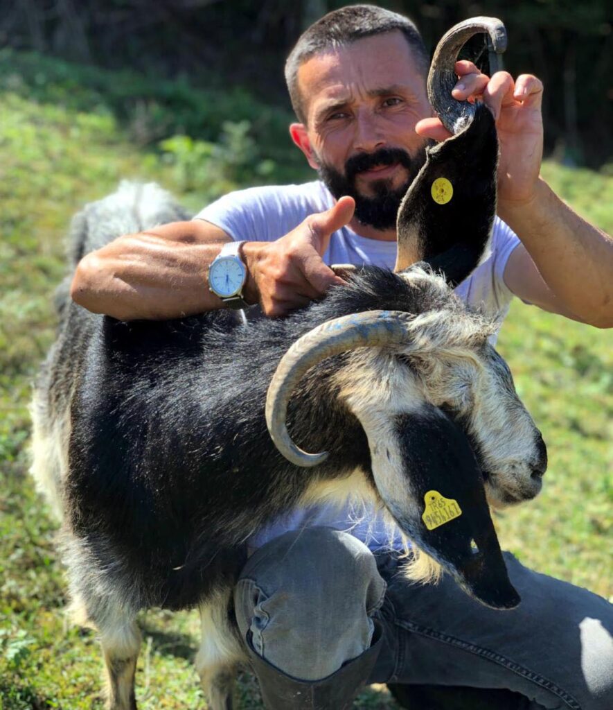 3 boynuzlu keçi görenleri şaşırtıyor