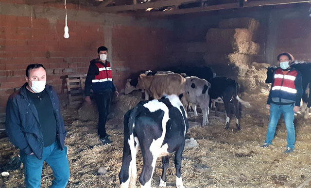 Daha önce boşanma aşamasındaki eşinin yanında gördüğü kişiye otomobiliyle çarpıp, sürükledi (2)