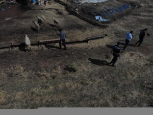 Kaybolan koyunlar drane ile bulundu