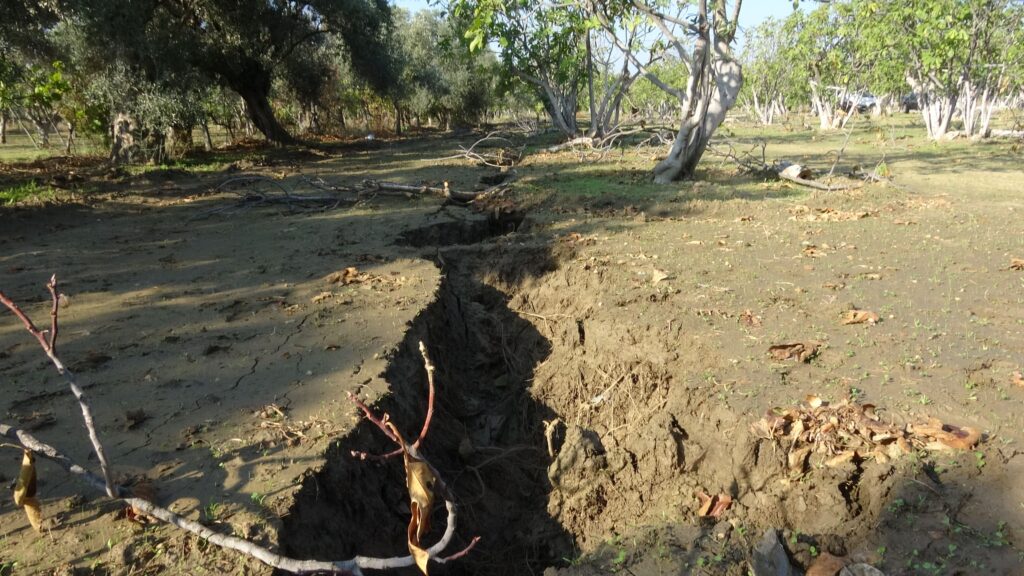 Germencik’te yerdeki çatlaklar vatandaşı tedirgin etti