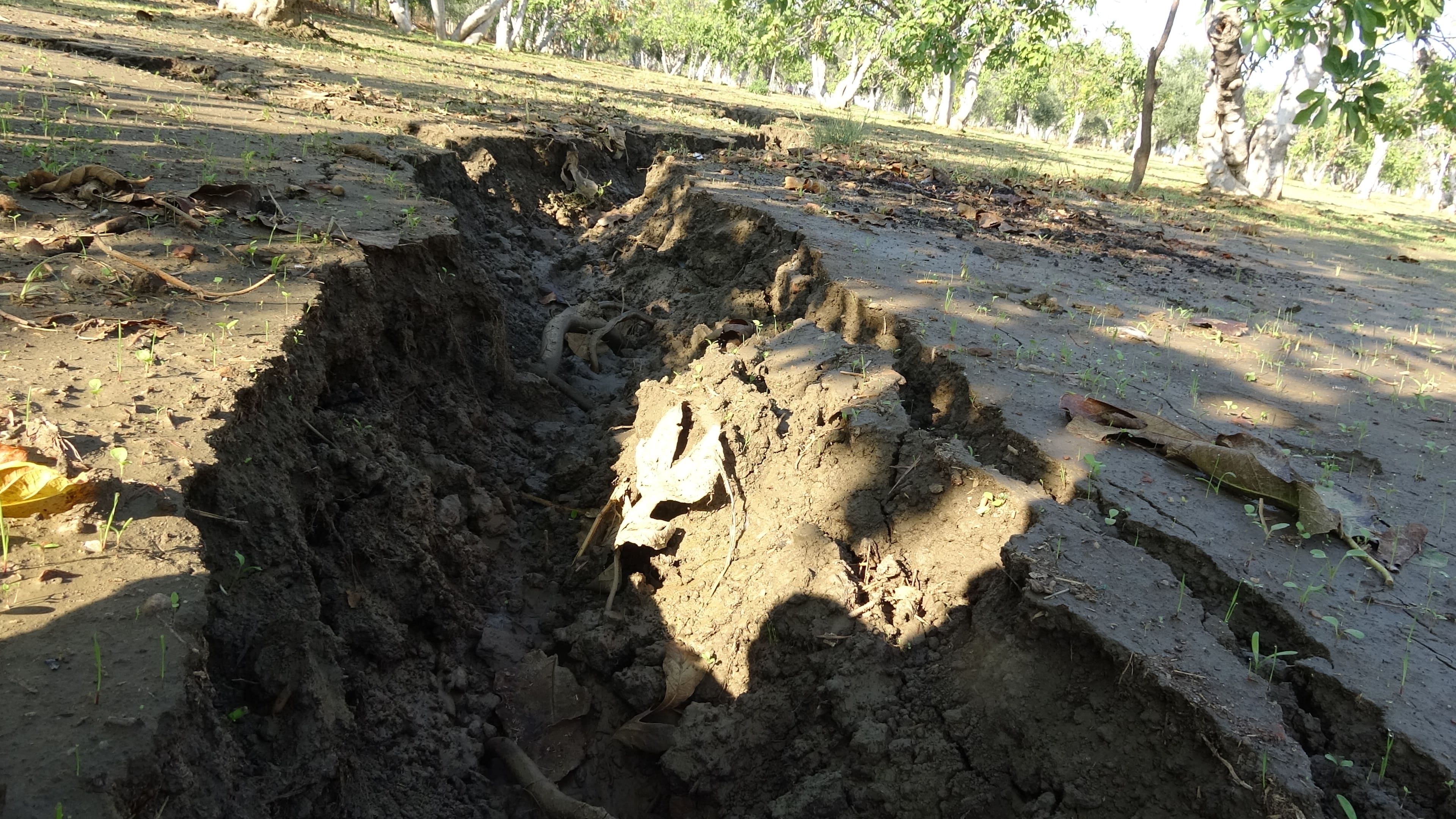 Germencik’te yerdeki çatlaklar vatandaşı tedirgin etti