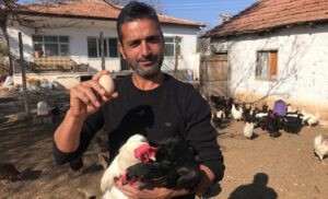 Gazeteciliği bırakıp tavuk çiftliği kurdu