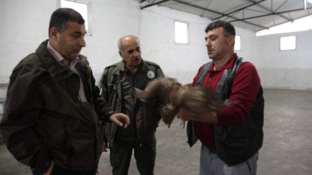 Yörük Başkanı yolda bulduğu Şahin’i ezilmekten kurtardı