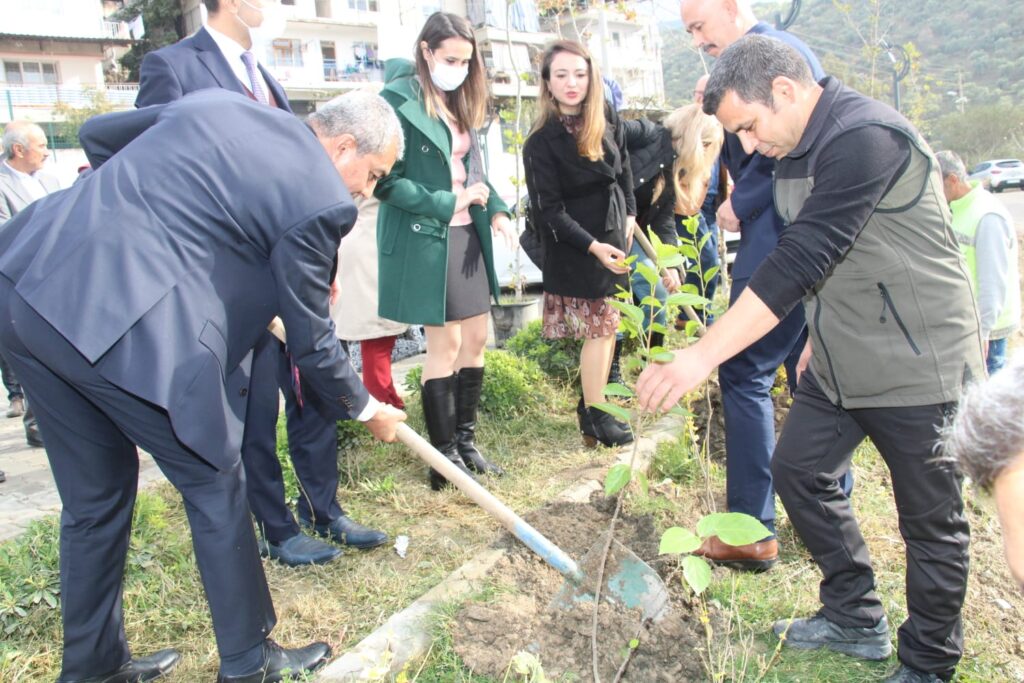 Koçarlılı öğretmenler Millet Bahçesi’ne fidan dikti
