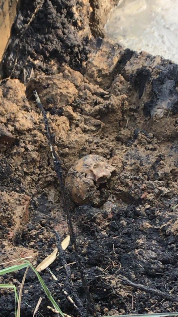 Nazili’de MYO’lu bahçesinde kafatası ve kemik parçaları bulundu
