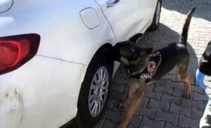 Otomobilin çamurluklarına gizlenen 1 kilo uyuşturucuyu bulundu