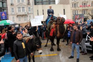 Develi eşekli aşı eylemi yaptı