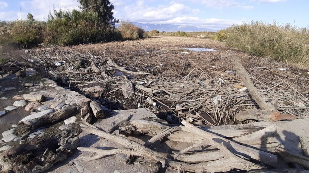 Büyük Menderes Nehri’nde binlerce balık öldü