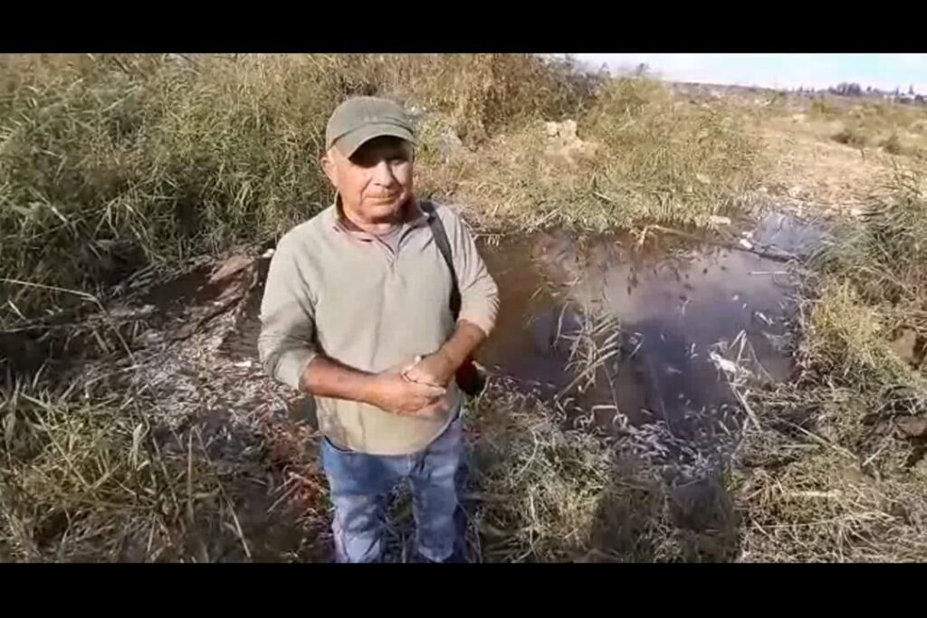 Büyük Menderes Nehri’nde binlerce balık öldü
