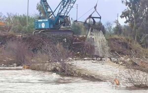 Balık ölümlerinin yaşandığı Menderes Nehri temizlendi
