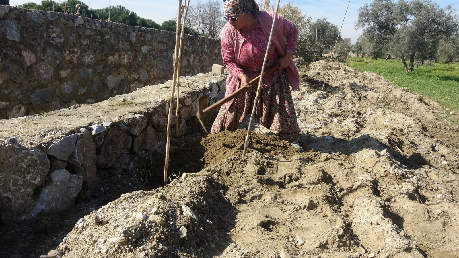 Kadın çiftçi, gübre atmaya geldiği arazisinde şoku yaşadı