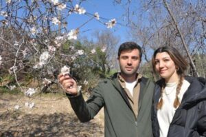 Madem ağaçları çiçek açtı