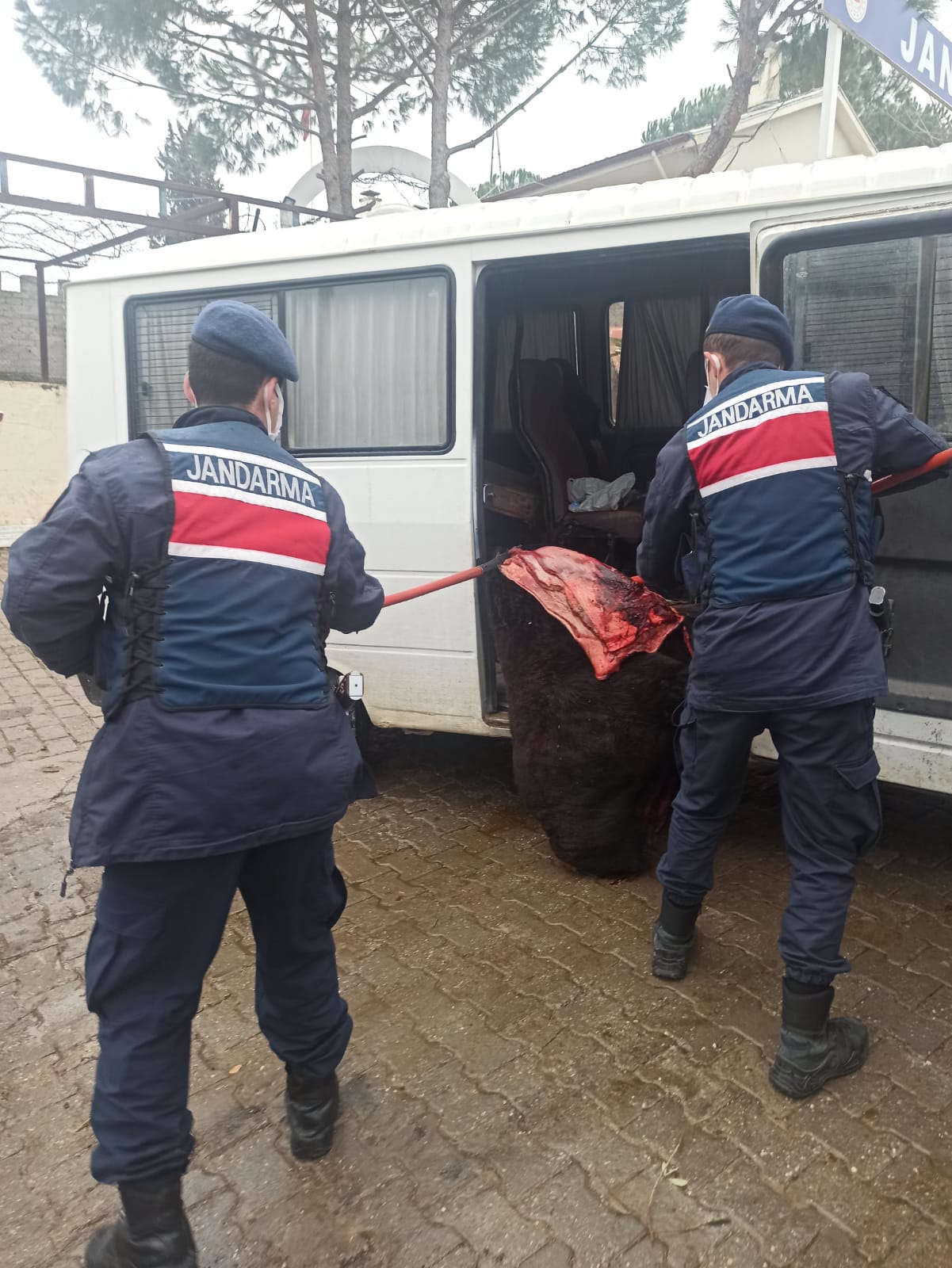 Minibüste kesilmiş büyükbaş hayvan yakalandı