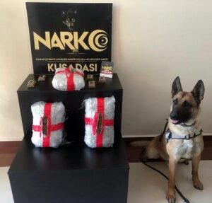 Minibüsteki 3 kilo 760 gram esrarı 'Arthur' buldu