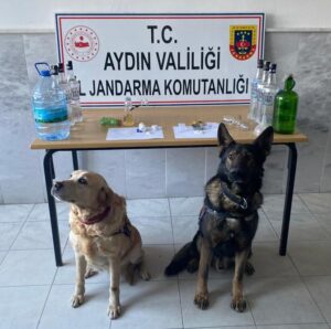 Koçarlı’da uyuşturucu operasyonu; 2 gözaltı