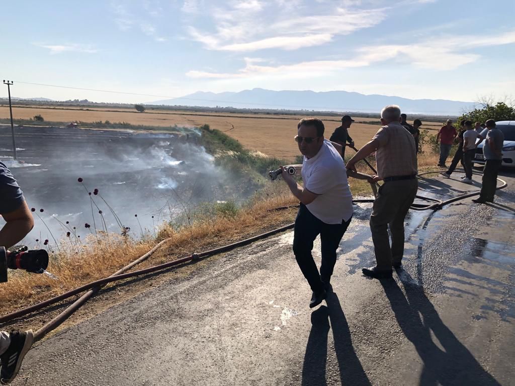 Buğday tarlasında çıkan yangın, zeytinlik alana sıçradı