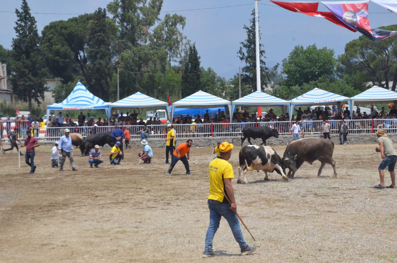 Boğalar SMA'lı çocuklar yararına güreştirildi