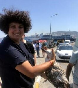 Kanadı kırık martı tedaviye alındı