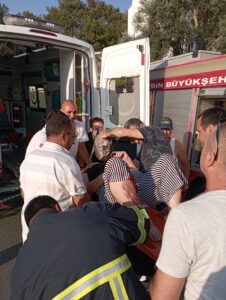 Ticari araç zeytin ağacına çarptı; 1 yaralı