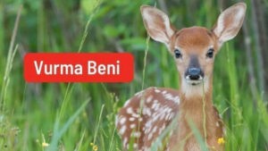 Av izni verilen hayvanlar için 120 bin imza: Vurma Beni