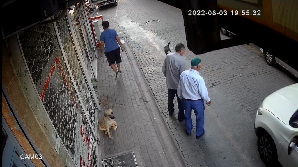 Bisikletli 2 kişiye köpeklerin saldırı anı kameraya yansıdı