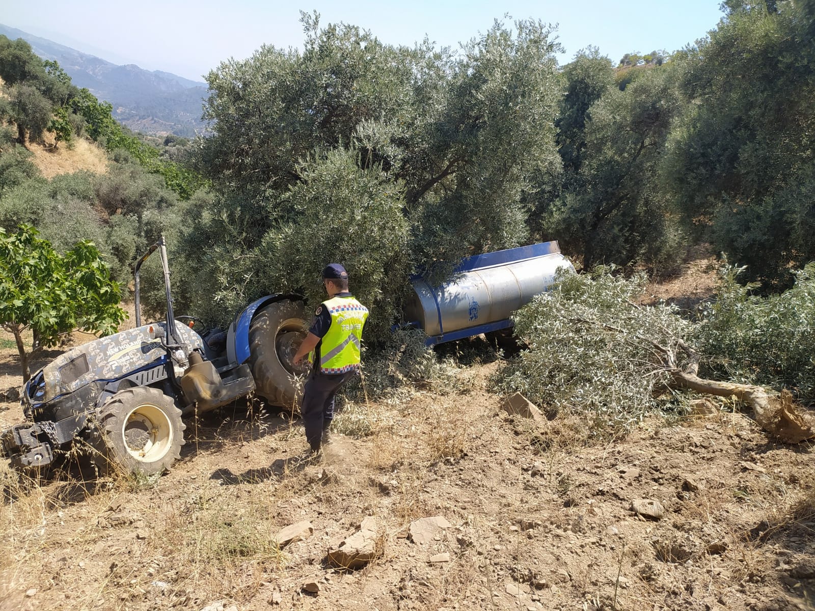 Arpadere Mahallesi