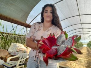Sinemayı bıraktı, kurduğu serada hayalinin meyvesini üretti