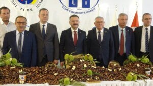 Aydın'da sezonun ilk kestanesi, kilosu 250 liradan alındı