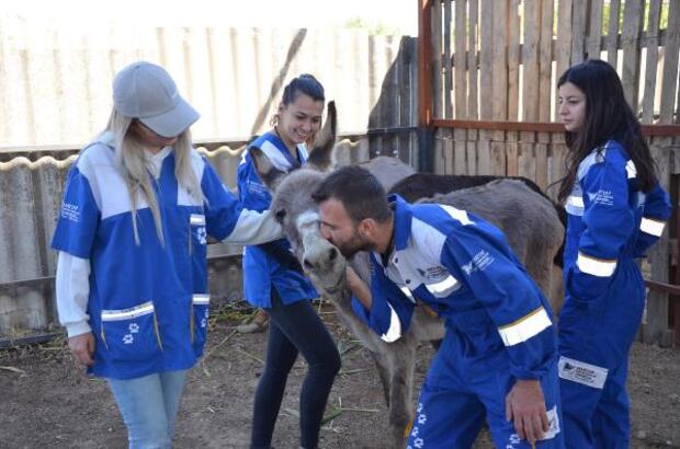 Kaçak kesimden kurtarılan 6 hayvanı HAYTAP sahiplendi