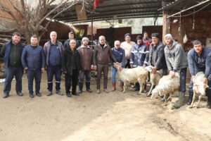 Koçarlı’da vatandaşlar depremzedeler için 25 koyun bağışladı