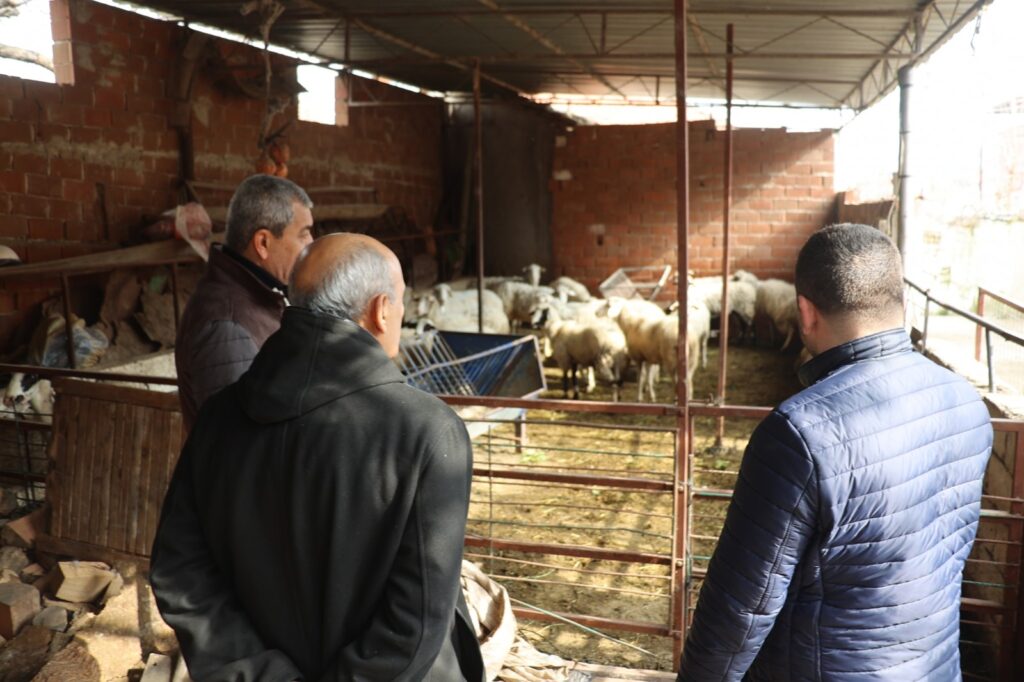 Koçarlı’da vatandaşlar depremzedeler için 25 koyun bağışladı