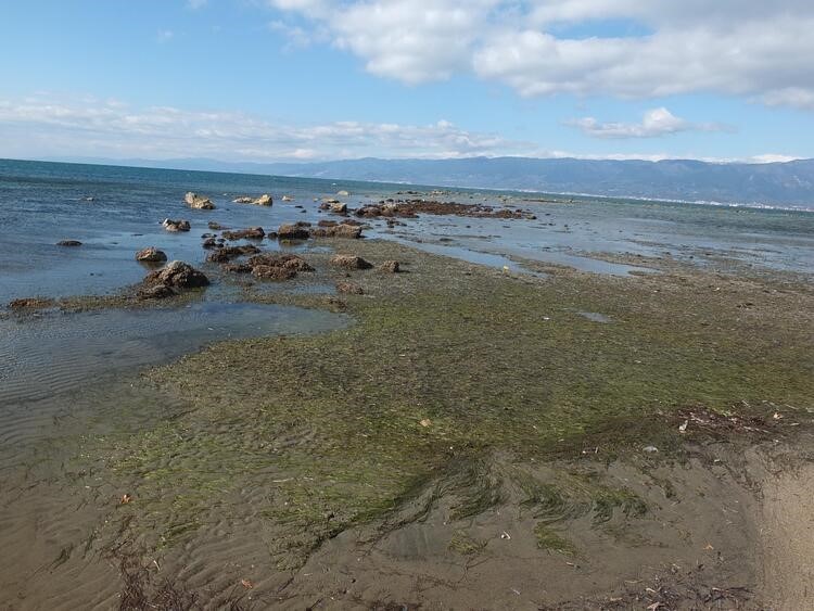 Deniz çekildi, 2 bin 500 yıllık limanın kalıntıları göründü