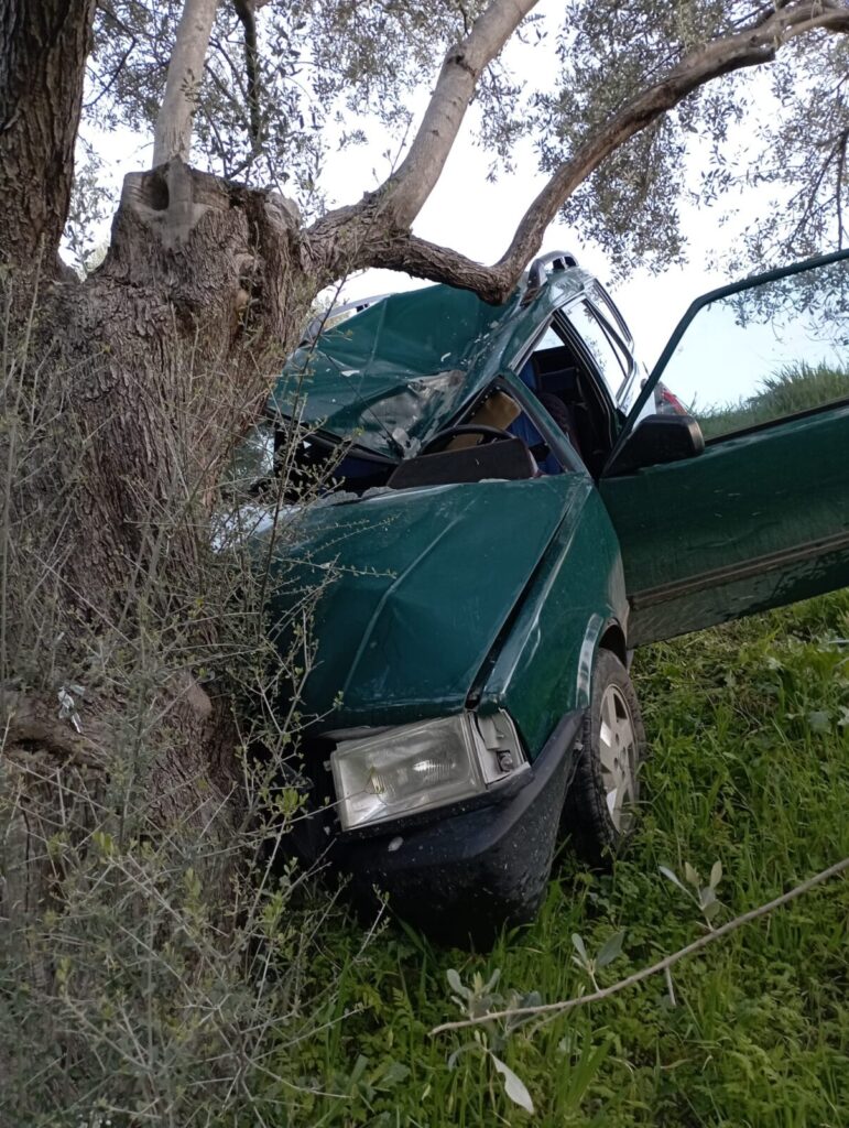 Direksiyon hakimiyetini kaybeden sürücü zeytin ağacına çarptı