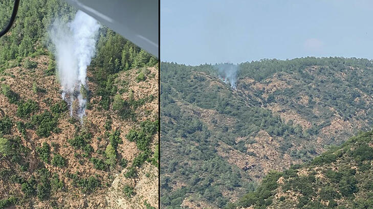 Çıkan orman yangınında 1 dekar zarar gördü
