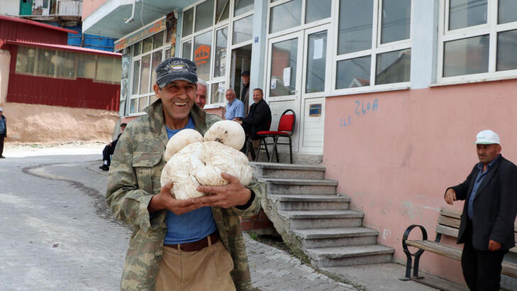 Doğada 3 kilo 135 gramlık mantar buldu