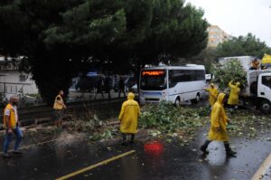 Aydın’da ağaç park halindeki otomobilin üstüne devrildi